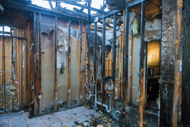 Professional Fire Damage Removal technician working in Timnath, CO